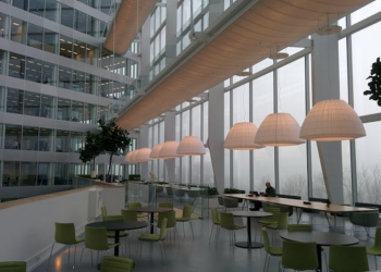 AI at the Human Scale: What Silicon Valley Misses About Real-World Innovation