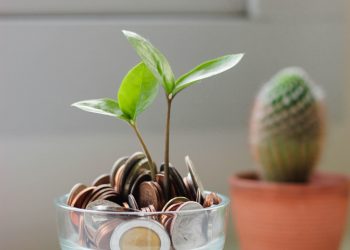 The UK’s Seed-to-Series A gap is growing. Should we fix it?