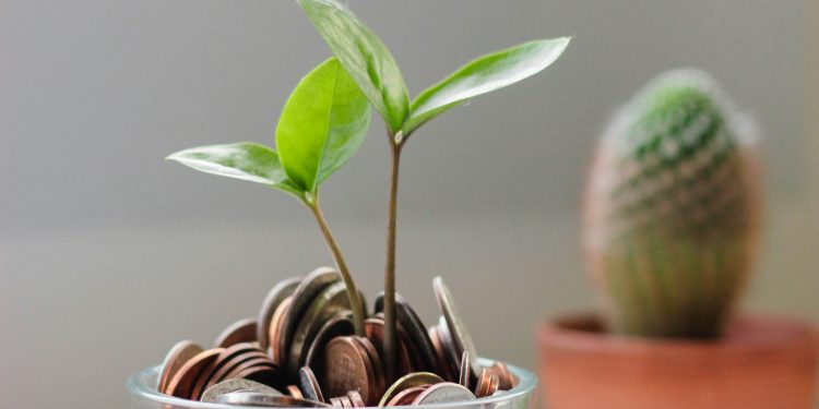 The UK’s Seed-to-Series A gap is growing. Should we fix it?