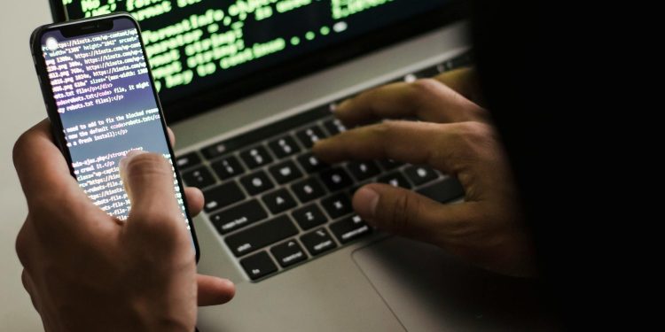 The rise of a borderless criminal economy