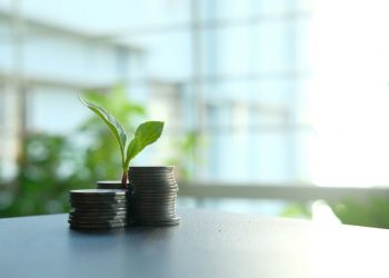 THE DECLINE OF ESG INVESTING MIGHT BE A DEMAND FOR CLARITY