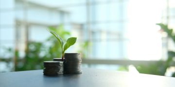 THE DECLINE OF ESG INVESTING MIGHT BE A DEMAND FOR CLARITY