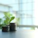 THE DECLINE OF ESG INVESTING MIGHT BE A DEMAND FOR CLARITY