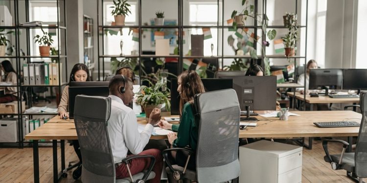 AI-Proofing White Collar Jobs: Tips from the IT Services Industry